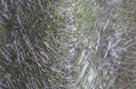 New Farnley fibreglass roof work